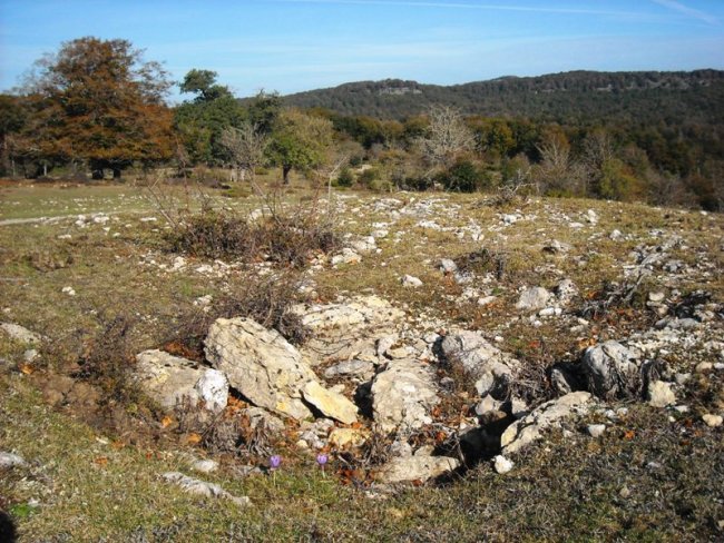 Itaida Sur