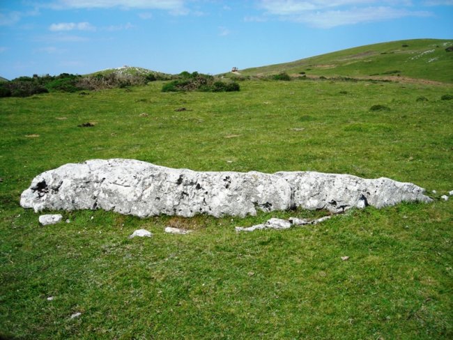 Obioneta