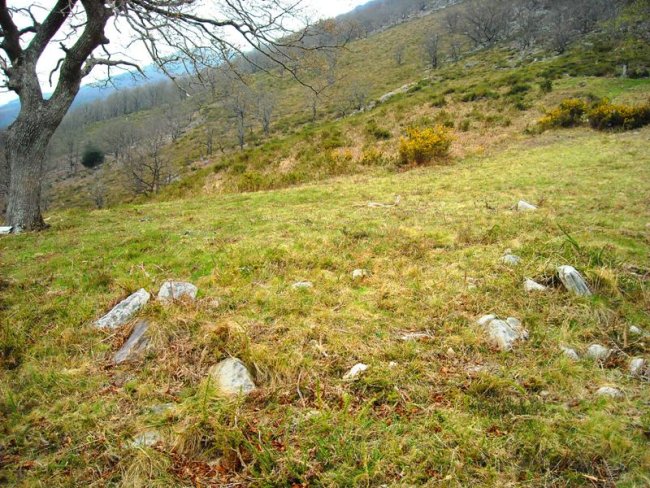 Malkorgaña