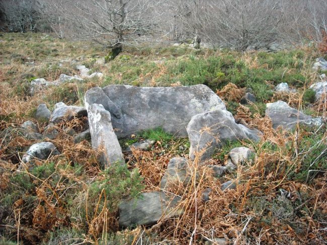 Argibel  5