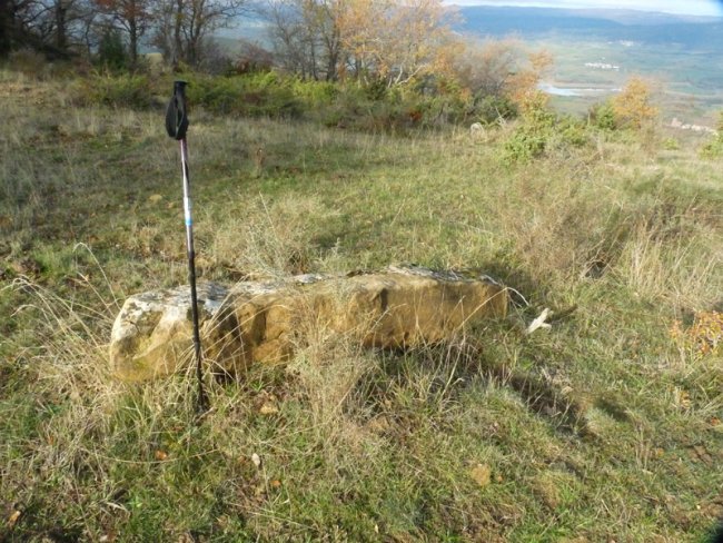zutarria