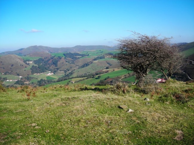 ERRETA mendebalde 