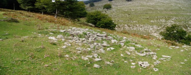 Barrerilla tumulua