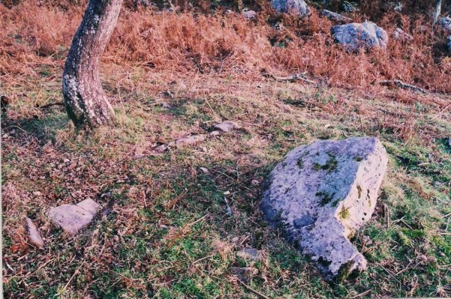 2004ko argazkia