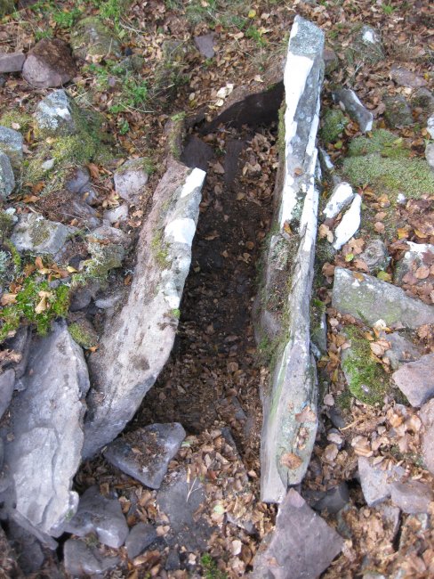 ganbara 1