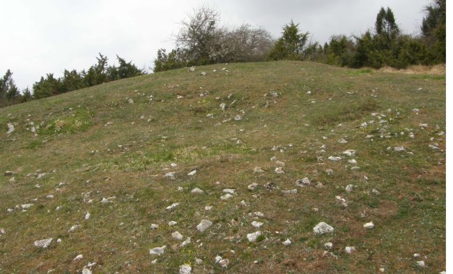 SANTA LUCIA