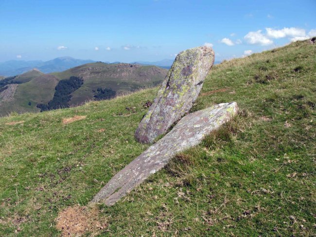 ANDDEBERRI