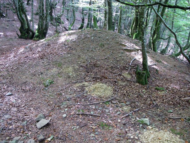 ERRONDONEKO BORDA