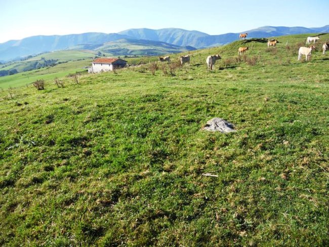--
