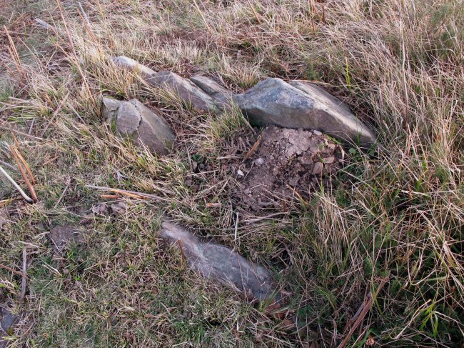 AKELARRE BIZKARRA