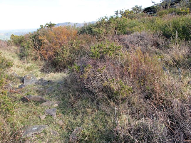 HAITZPARATZ
