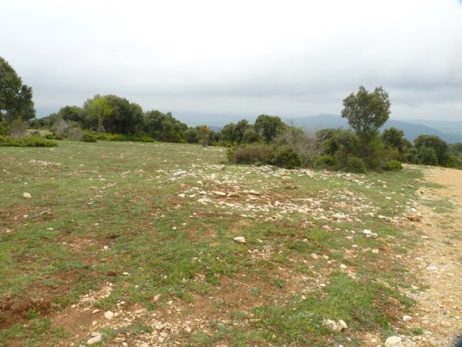 Pista Viloria