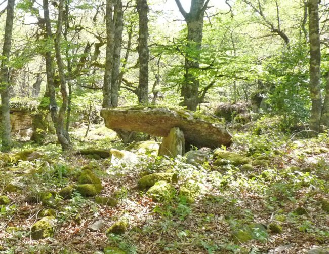 Etxoltxarraldea 1