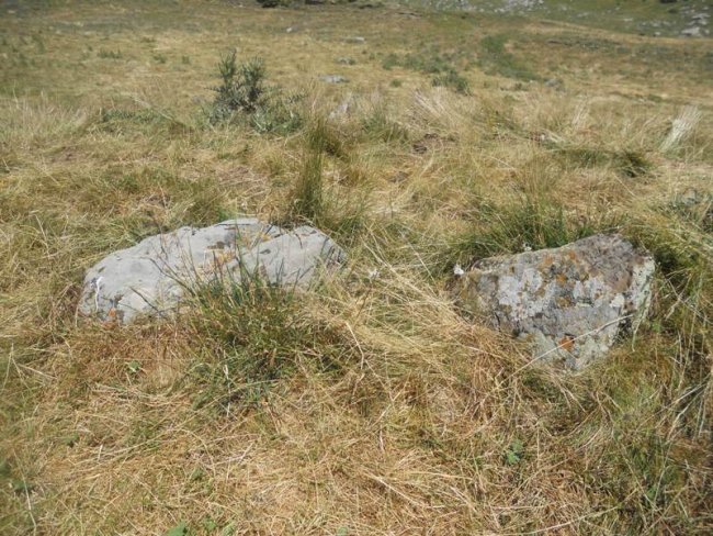 foraton