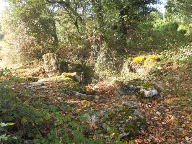 el robledal 2