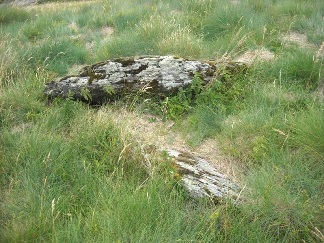 balsa de astún