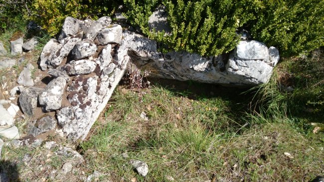 Biorreta 2
