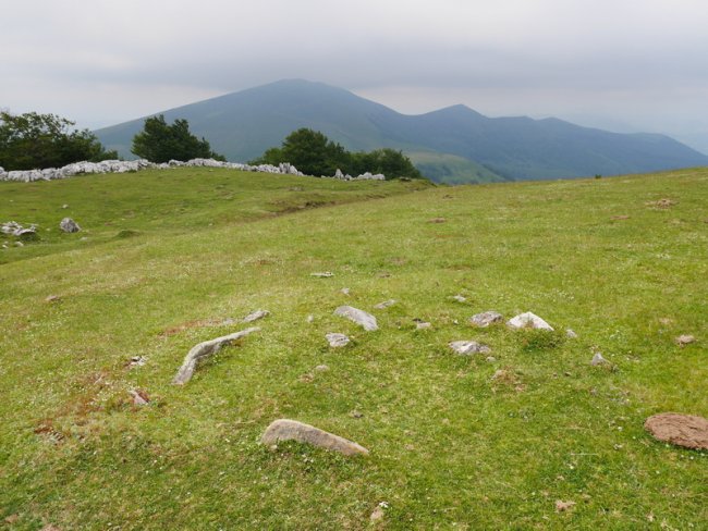 Ipergorta 2