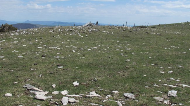 Trekua norte eraztun-tumulua, Andia