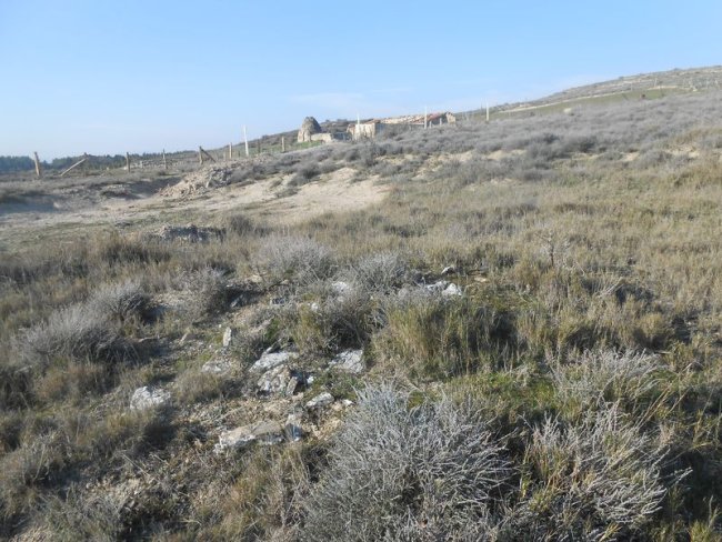 las cabras 5