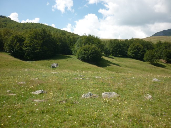 4. harrespila (2)