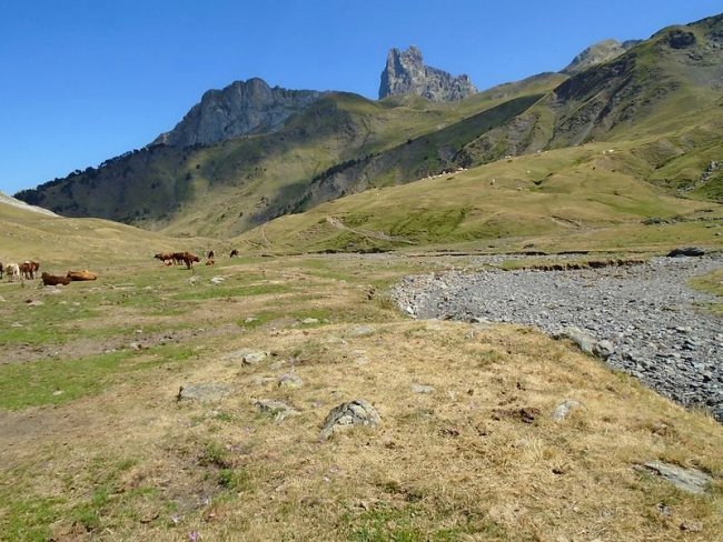 baigt de houer sur