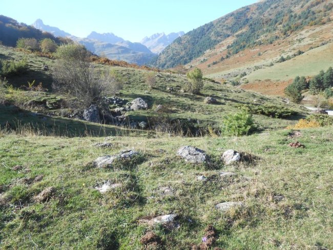 campo largo sur