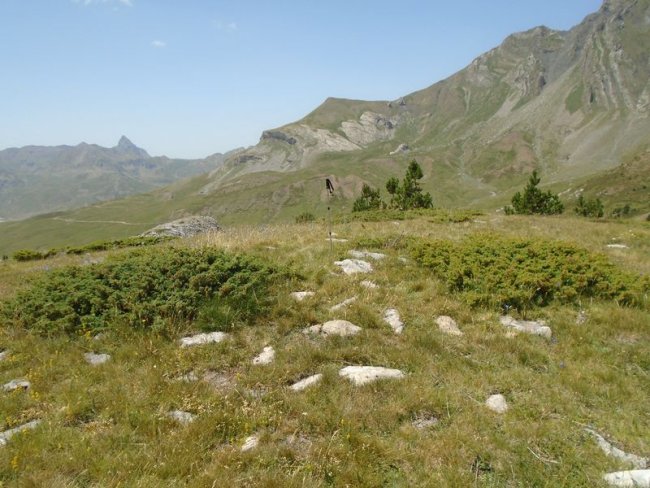 forato norte