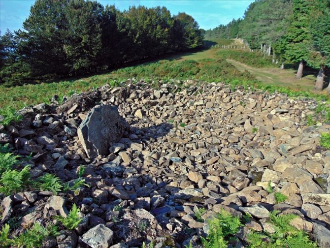Tontorra