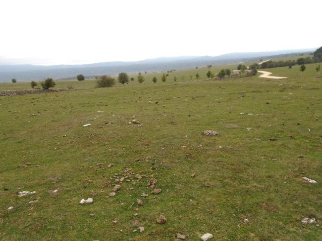 CAMINO DE ARRATONDO