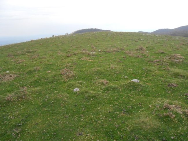 arroskua harrespila