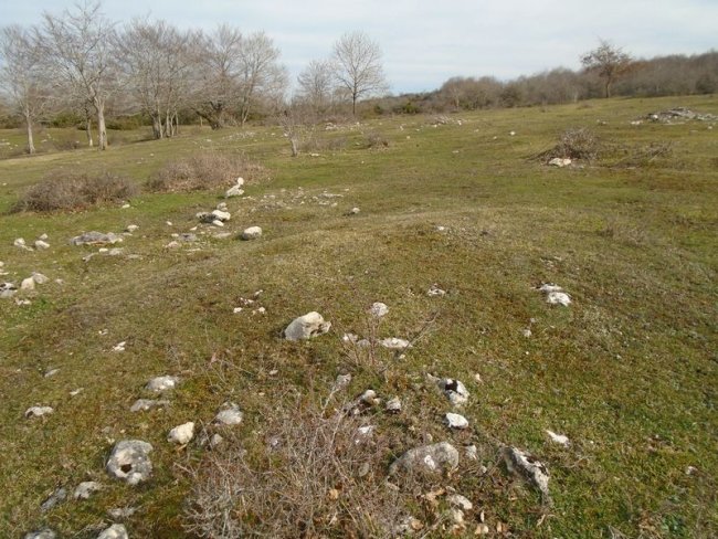 raso de esate- 6