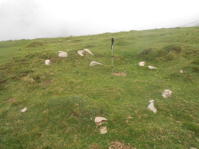 sarimendi