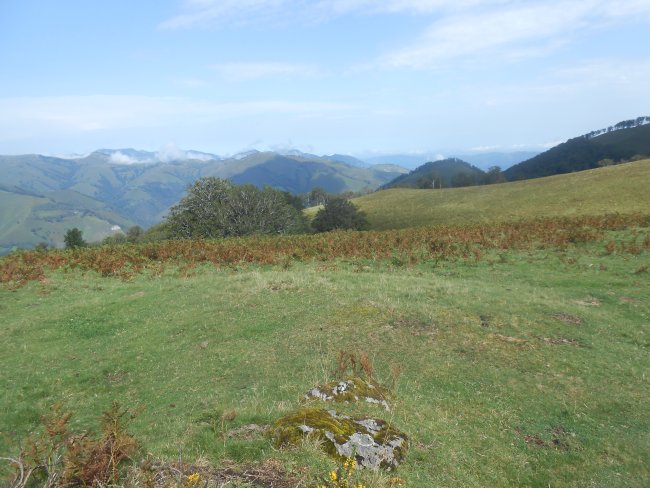 ardakotchia este