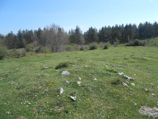 berroeta