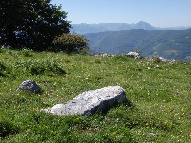 ERROIZPE zutarri