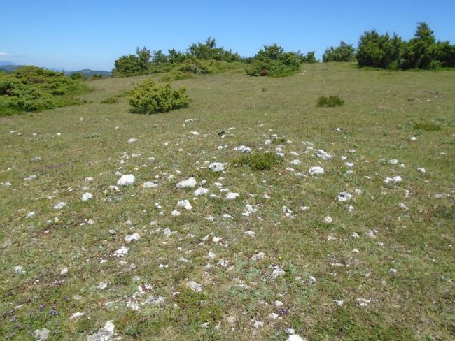 san cristóbal