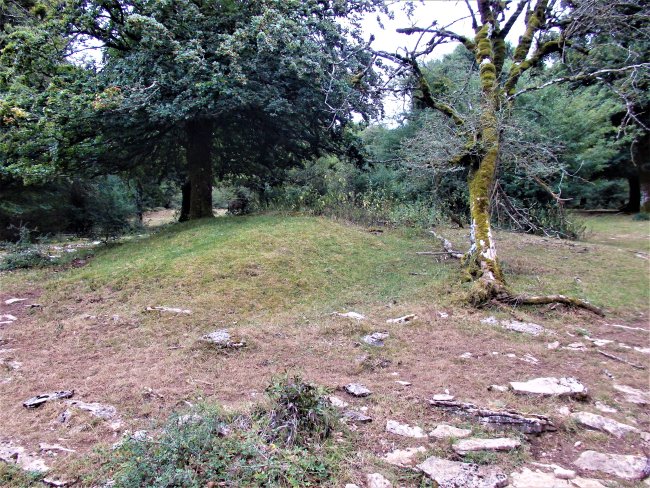 LA CAÑADA II