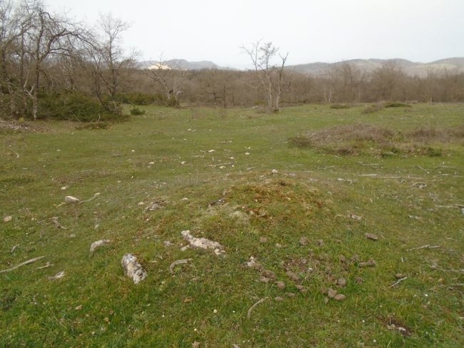 lezaundi norte
