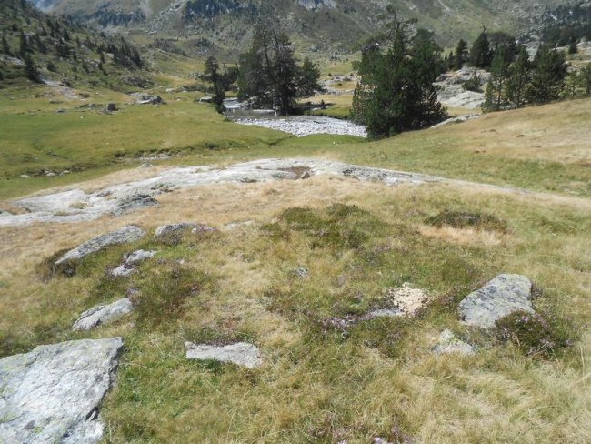 pla de la gole 1