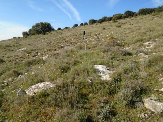 artazkoz 1