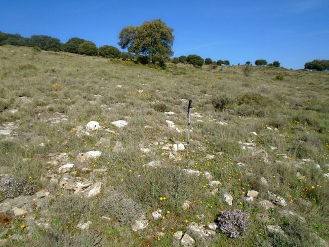 artazkoz 2