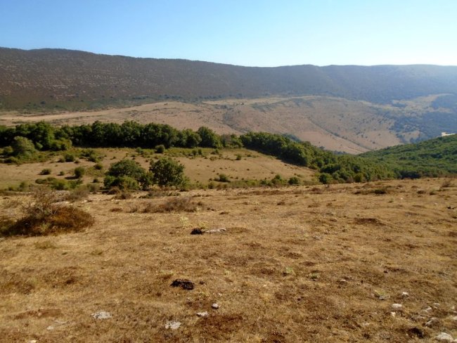 samurra