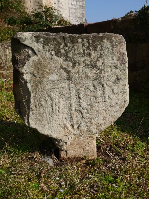 Bera 21 hilarria