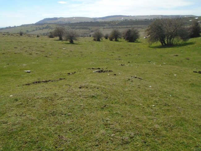 elorribakarra