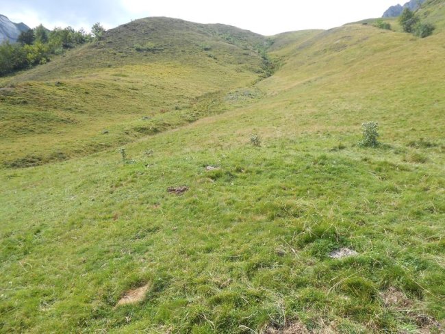 coig arras